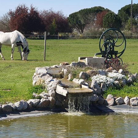Bed and Breakfast Domaine Christanna Lisle-sur-Tarn Exteriér fotografie